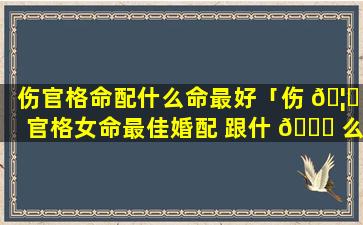 伤官格命配什么命最好「伤 🦍 官格女命最佳婚配 跟什 🕊 么人最配(图文)」